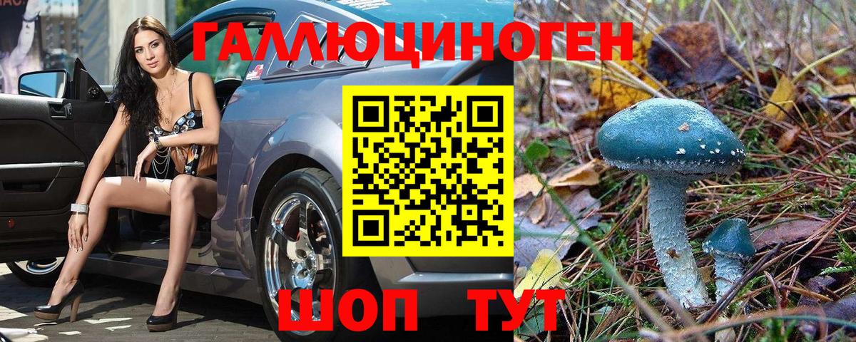 купить наркотик  Галлюциногенные грибы GOLDEN TEACHER  Вход с VPN  Домодедово 