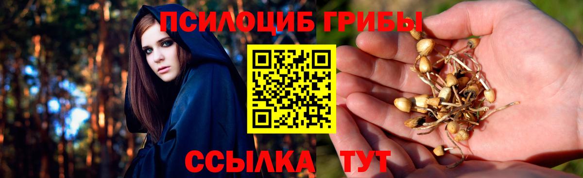 Галлюциногенные грибы GOLDEN TEACHER Домодедово